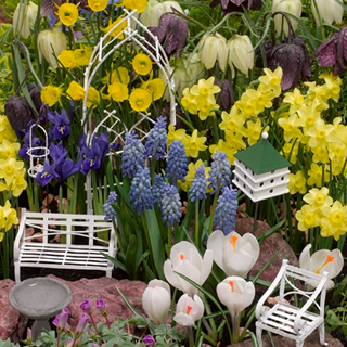 What’s with this Fairy Gardens Fad?