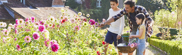Bulb gardening with kids