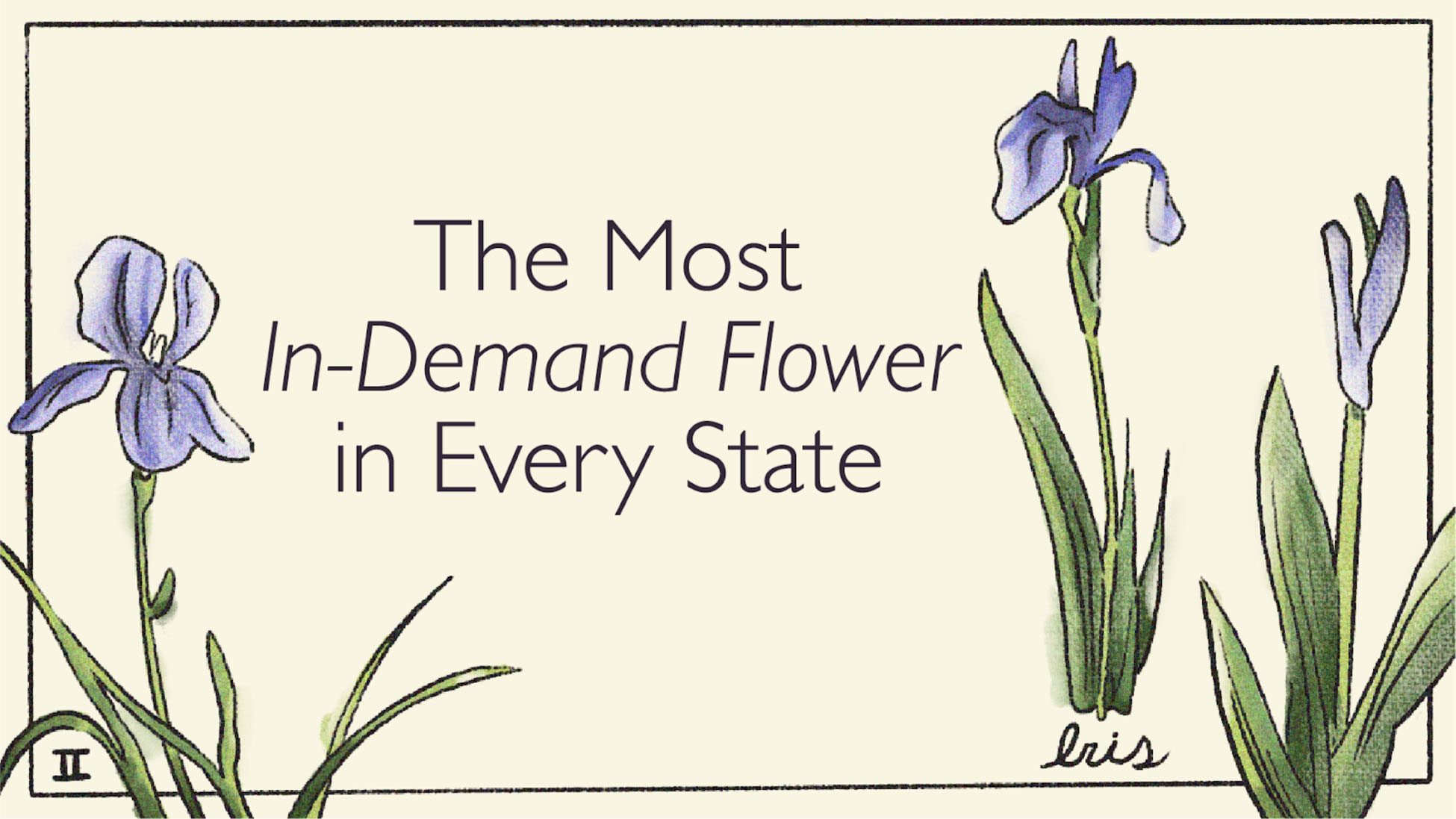 The Most Popular Flowers In America By State Breck S