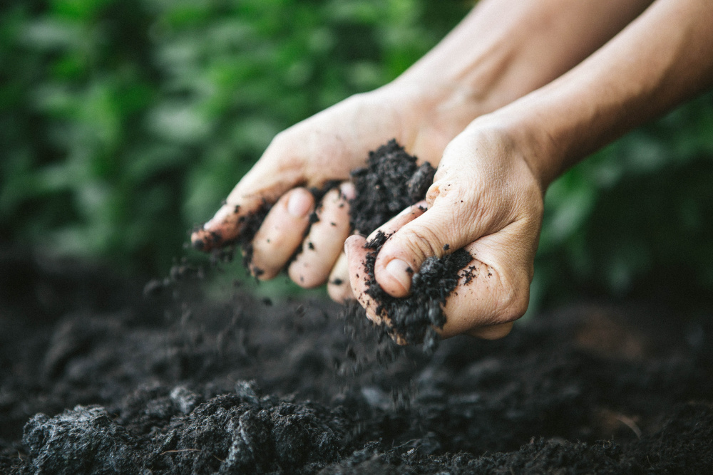 How to Prepare Soil for Planting in Your Garden