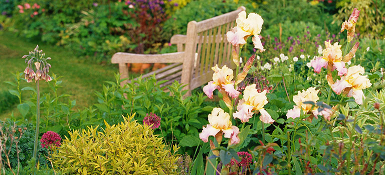 Gardening Tips for Zone 5 and 6 blog 4