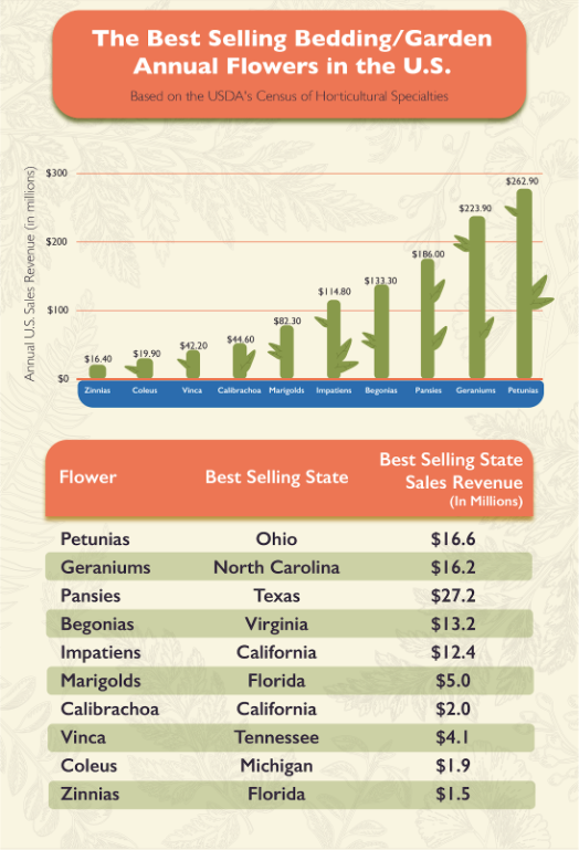 bar graph of the best selling flowers in America 