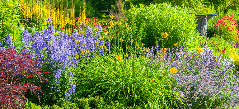 A flower garden with a mixture of flowers and foliage